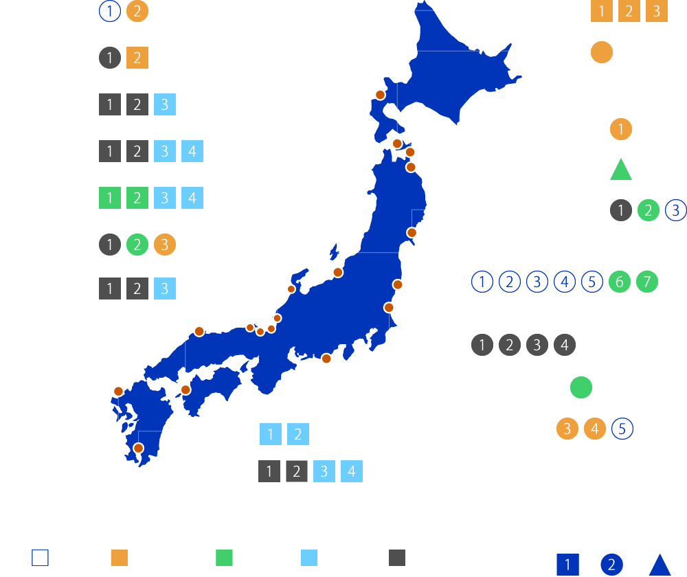 Licensing status of the Japanese nuclear facilities