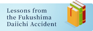 Lessons from the Fukushima  Daiichi Accident