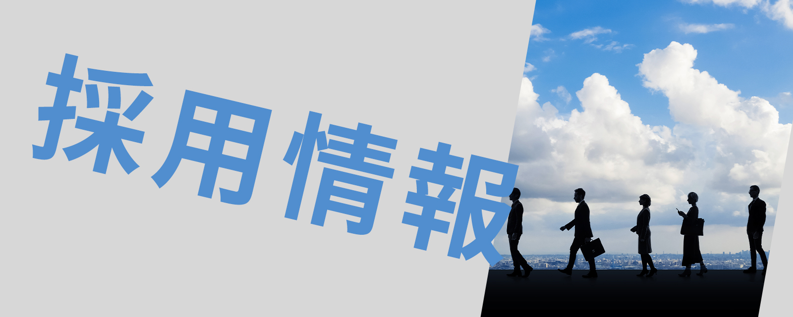 採用情報